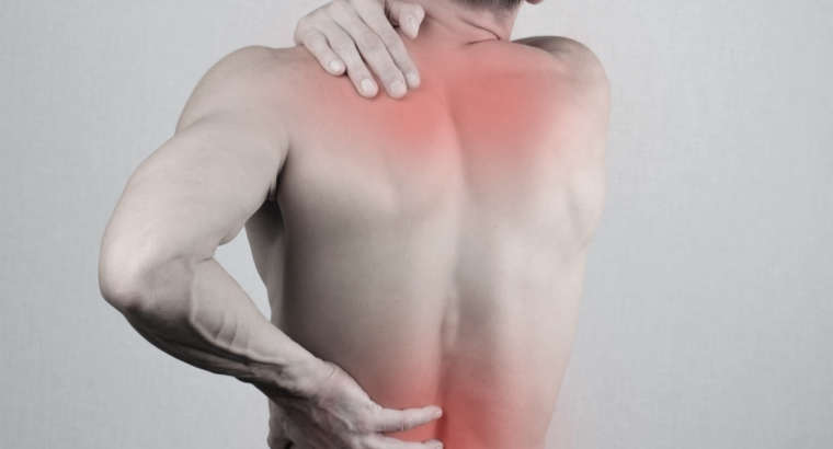 The Different Types of Back Pain and How a Chiropractor Can Help