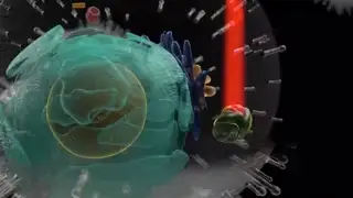 fx-series-loop